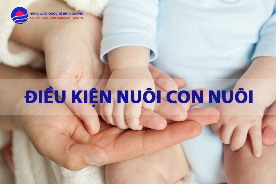 dieu-kien-nuoi-con-nuoi